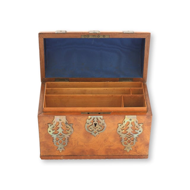 Brown Antique English Burlwood Box W/ Brass Mounts For Sale - Image 8 of 8