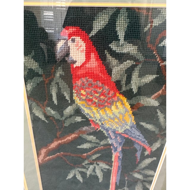 1990s Vintage Pair of Macaw Needlepoint Framed Pictures For Sale - Image 5 of 9