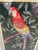 1990s Vintage Pair of Macaw Needlepoint Framed Pictures For Sale - Image 5 of 9