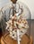 1960s 3 Domed Sra Shell Assemblages Marine Soecimens For Sale In Miami - Image 6 of 7