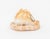19th Century Victorian Cameo Carved Conch Shell, 19th C. For Sale - Image 5 of 8