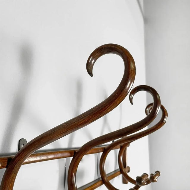 Brown Antique Austrian Wooden Coat Hanger from Thonet, 1800s For Sale - Image 8 of 15