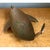 Vintage Sculptural Metal Whale Bowl For Sale - Image 12 of 12