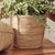 Early 21st Century Cane Rattan Mini Round Baskets, Set Of 3 For Sale - Image 5 of 5