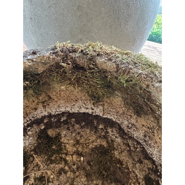 Vintage Concrete Planter, France For Sale - Image 15 of 18