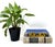 A charming and practical brass wall hook rack spelling out “KEYS,” designed with four sturdy hooks seamlessly integrated...