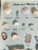 Shell Vintage Sea Shell Collection Marine Specimens For Sale - Image 7 of 9