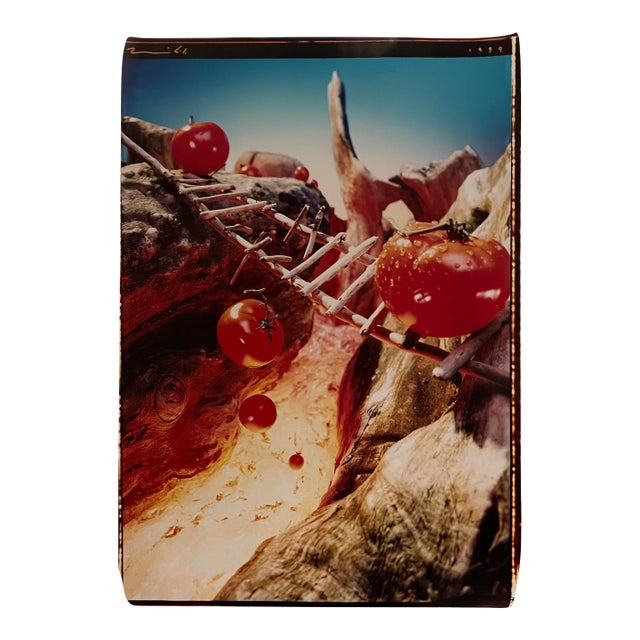 1999 Pop Art Tomatoes Color Photograph For Sale