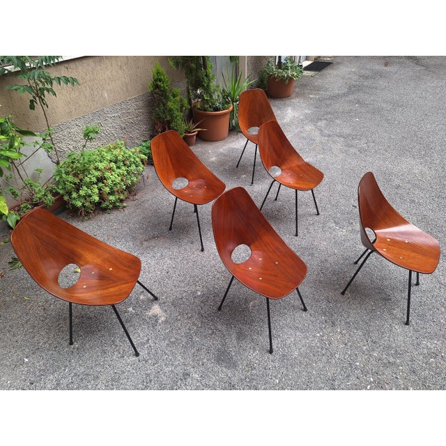 Chairs by Vittorio Nobili for Medea, 1950s, Set of 6 For Sale - Image 13 of 14