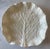 Shabby Chic Set of 4 White Ceramic Cabbage Leaf Plates For Sale - Image 3 of 10
