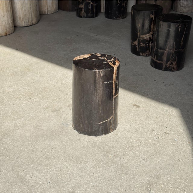 Side Table in Black Petrified Wood with Beige Stripes and Sides For Sale - Image 10 of 18