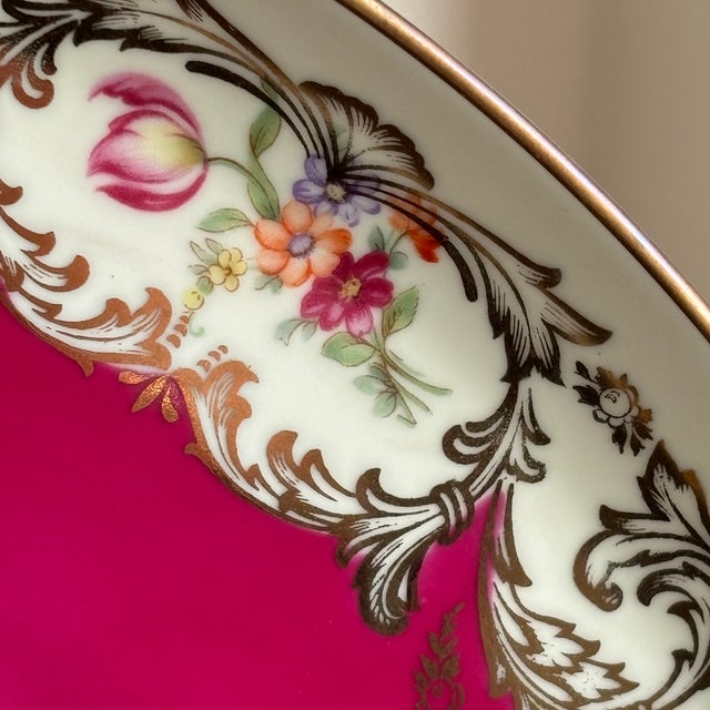 Early 20th Century Early-20th Century Tirschenreuth Bavaria Decorative Porcelain Plate For Sale - Image 5 of 10