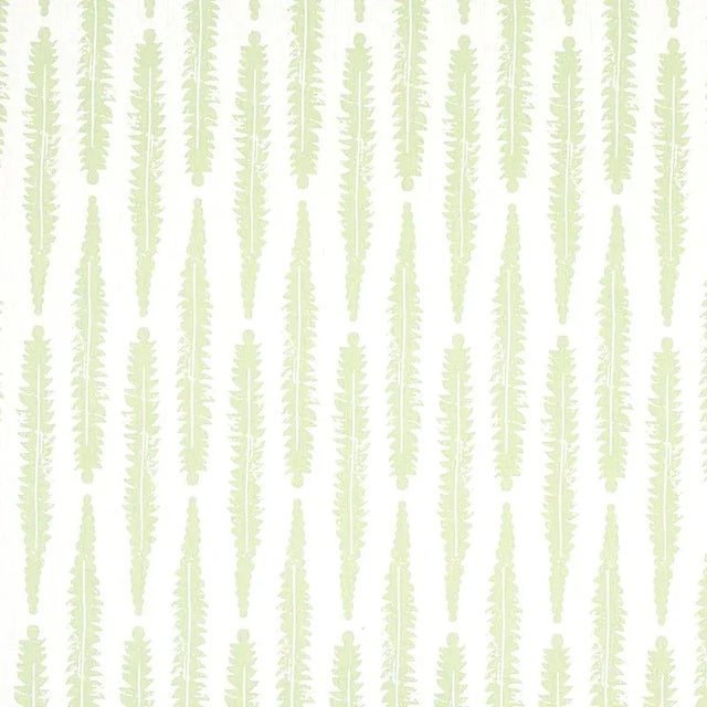 Contemporary Sample - Schumacher X Molly Mahon Fern Fabric in Sage For Sale - Image 3 of 3