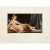 1955 After Ingres "Odalisque", Vintage First Edition Full-Color Print For Sale In Dallas - Image 6 of 8