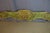 Louis XV Style Bed in Gilded Wood, 1950s For Sale - Image 10 of 13