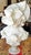 Italian Italian Alabaster Marble Bust Figurine For Sale - Image 3 of 8