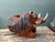 Vintage Hand Carved Wild Boar For Sale - Image 4 of 12