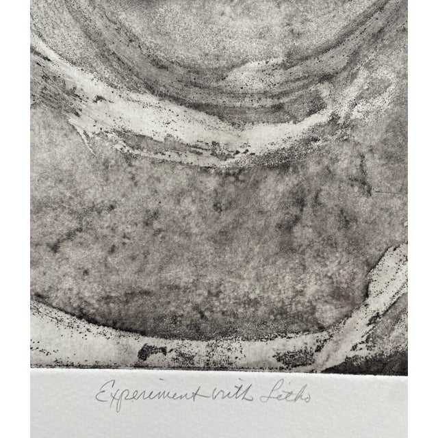 Abstract 1990s Abstract Mutual Stage Print For Sale - Image 3 of 5