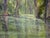 Nancy Paris Pruden "Cypress Creek" Contemporary Naturalistic River Landscape Nature Painting, 2020s For Sale - Image 10 of 10