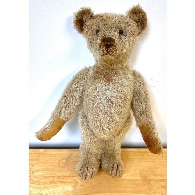 Mid-Century Modern Antique Steiff Long Hair Gold Mohair Teddy Bear ' Alastair' , C. 1900s For Sale - Image 3 of 6
