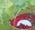FREE SHIPPING worldwide. The painting will be rolled up and packed securely in a special protective tube. Note: The...