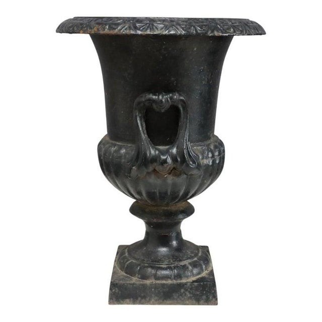 Pair of Petite Antique Cast Iron Garden Urns With Handles C1900 For Sale - Image 6 of 6