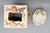 Vintage Fitz & Floyd Oceana Seashell Ceramic Tissue Box Cover & Soap Dish – Coastal / Palm Beach For Sale - Image 9 of 16