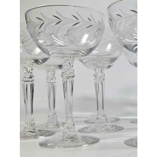 Handcut Laurel Champagne Coupes- Set of Eight For Sale - Image 6 of 10