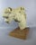 Emilia Parea, Horse Head Sculpture, 1960s, Granite and Papier-Mâché on Wood Base For Sale - Image 17 of 18