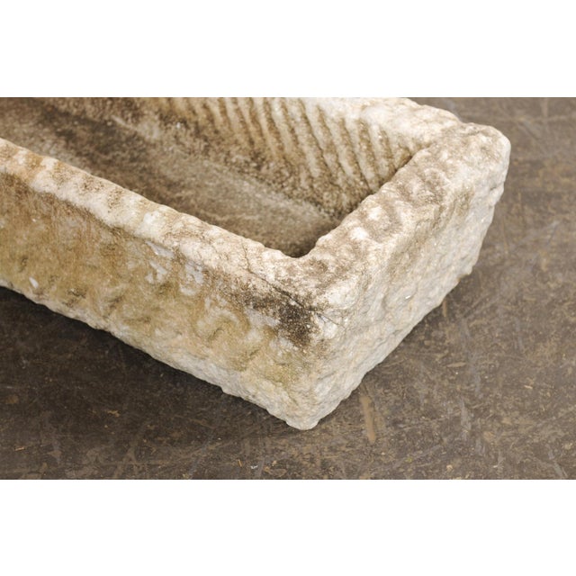 19th Century 19th C. Spanish Rectangular Stone Planter For Sale - Image 5 of 11