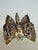 Monet Vintage Capri 1960s Gold Tone Openwork Butterfly Brooch Florentine Enamel Statement Pin Capri Signed For Sale - Image 4 of 10