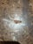 1950s Goatskin Coffee Table Attributed to Aldo Tura For Sale - Image 4 of 5