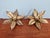 Floral Brass Wall Sconces by Willy Daro for Massive, 1970, Set of 2 For Sale - Image 14 of 14