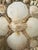 1920s Antique Cane and Bamboo Panel With Shells For Sale - Image 5 of 8