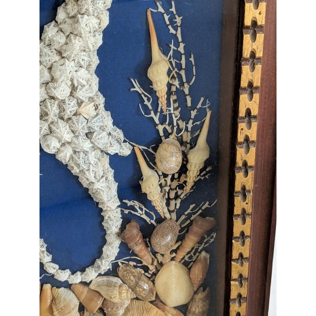 Vintage Seashell Seahorse Shadow Box Sculptures Wall Art A Pair