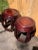 Vintage Chinese Rosewood Garden Stools-A Pair For Sale - Image 4 of 13