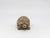 English Vintage Reconstituted Stone Tortoise or Turtle Garden Ornament, England 1970s For Sale - Image 3 of 8