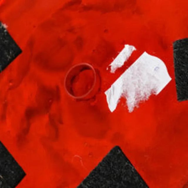 Glass Red Tinted Parakeet Vase by René Lalique, 1919 For Sale - Image 7 of 7