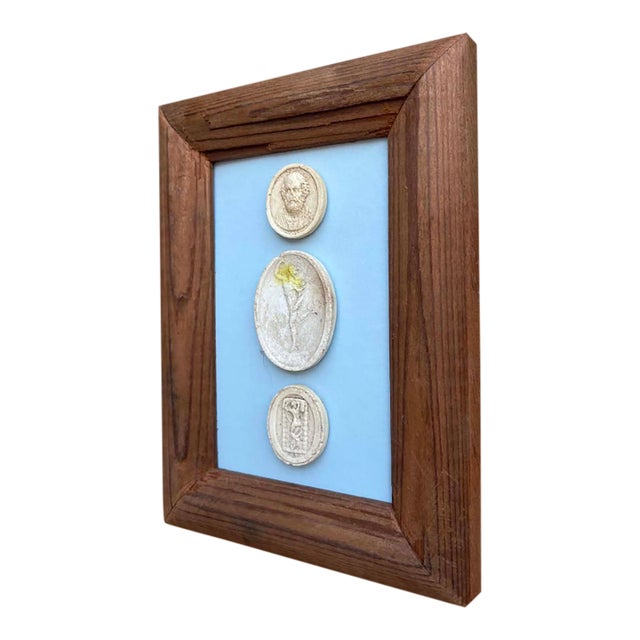 Italian Plaster Intaglios in 1880s Pine Frame For Sale