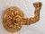 Art Nouveau Sherle Wagner 22k Gold Plated Brass Acanthus Hook Robe Hook For Sale - Image 3 of 7