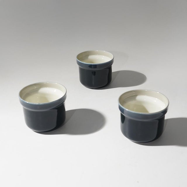 Eco Dinnerware Set by Giovanni Garibaldi for Ginori, 1970s, Set of 25 For Sale - Image 6 of 16