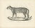 19th Century Leopard in Standing Pose, 1836, Lithograph For Sale - Image 5 of 5