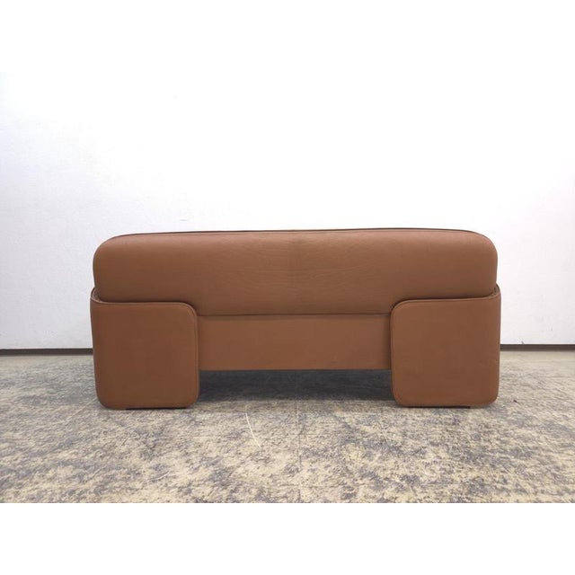 Animal Skin DS-125 3-Seater and 2-Seater Sofa in Brown Leather by Gerd Lange for de Sede, Set of 2 For Sale - Image 7 of 18