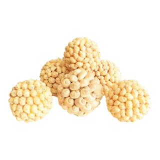 Coastal Collection of Natural Shell Spheres, Set of 6 For Sale