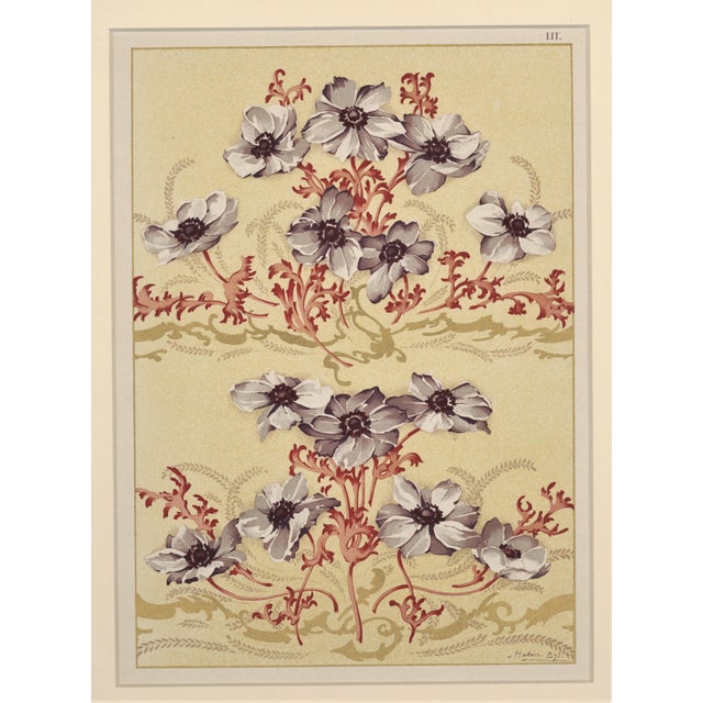 C1900 Art Nouveau Botanical Design Chromolithograph