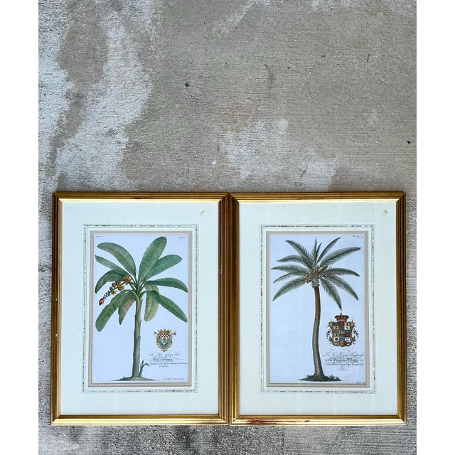 Vintage Crested Palm Etchings - A Pair For Sale - Image 11 of 12