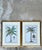 Vintage Crested Palm Etchings - A Pair For Sale - Image 11 of 12