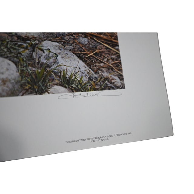 Carl Brenders "Den Mother Wolf Family" Signed Limited Edition Print, 1992, With Coa For Sale - Image 4 of 11