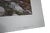 Carl Brenders "Den Mother Wolf Family" Signed Limited Edition Print, 1992, With Coa For Sale - Image 4 of 11