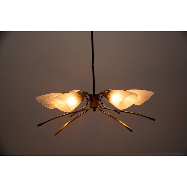 Gold Mid-Century Modern Six-Armed Brass Sputnik Lamp, 1950s For Sale - Image 8 of 13